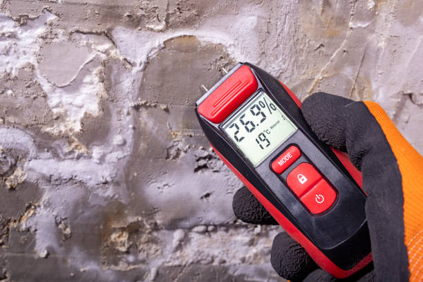 Best DIY Mold Remediation Support Services in Ridgecrest, CA
